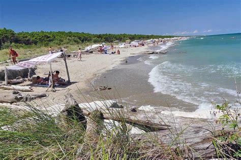 Lido di Classe and Bassona beaches in Ravenna